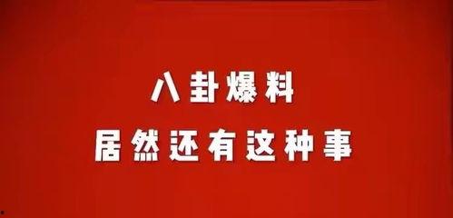 娱乐花边八卦爆料,明星们的幕后故事与惊人真相